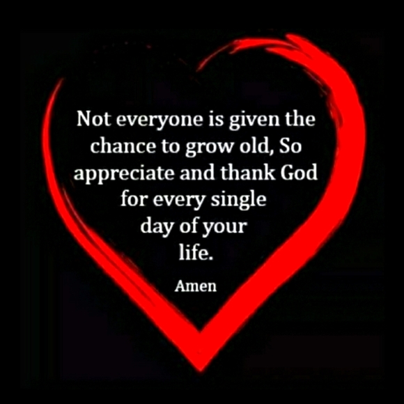 Silicone Bakeware Bundle of 6 - Picture 15 of 16